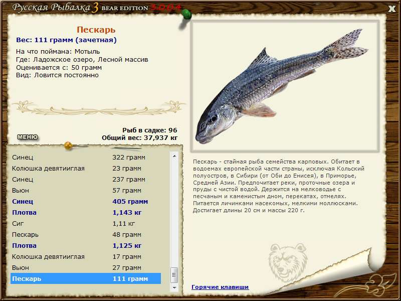 Русская рыбалка озеро на что ловить
