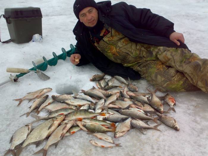 Сайт рыбака новосибирск. Чаны, рыбалка озеро Чаны. Зимняя рыбалка Чаны. Рыбалка в НСО. Зимняя рыбалка на оз.Чаны.