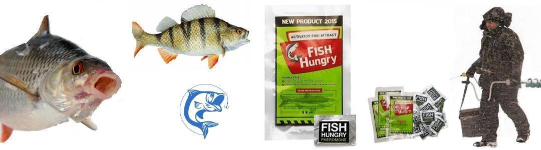 Инструкция fish. Активатор клева Fish hungry. Приманка для рыбы Фиш Хангри. Fishhungry оригинал. Стабильны для рыбы.