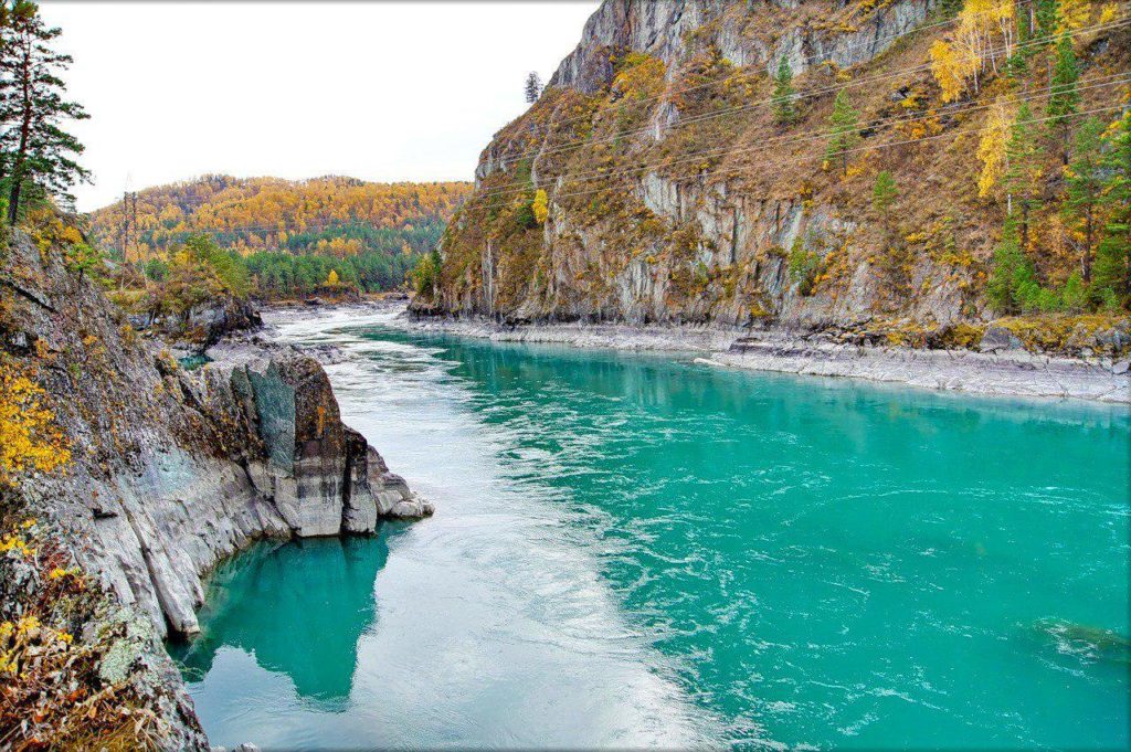 Река Катунь Алтай