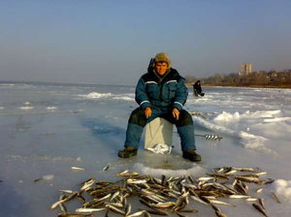 Большая рыбалка в карагандинской области