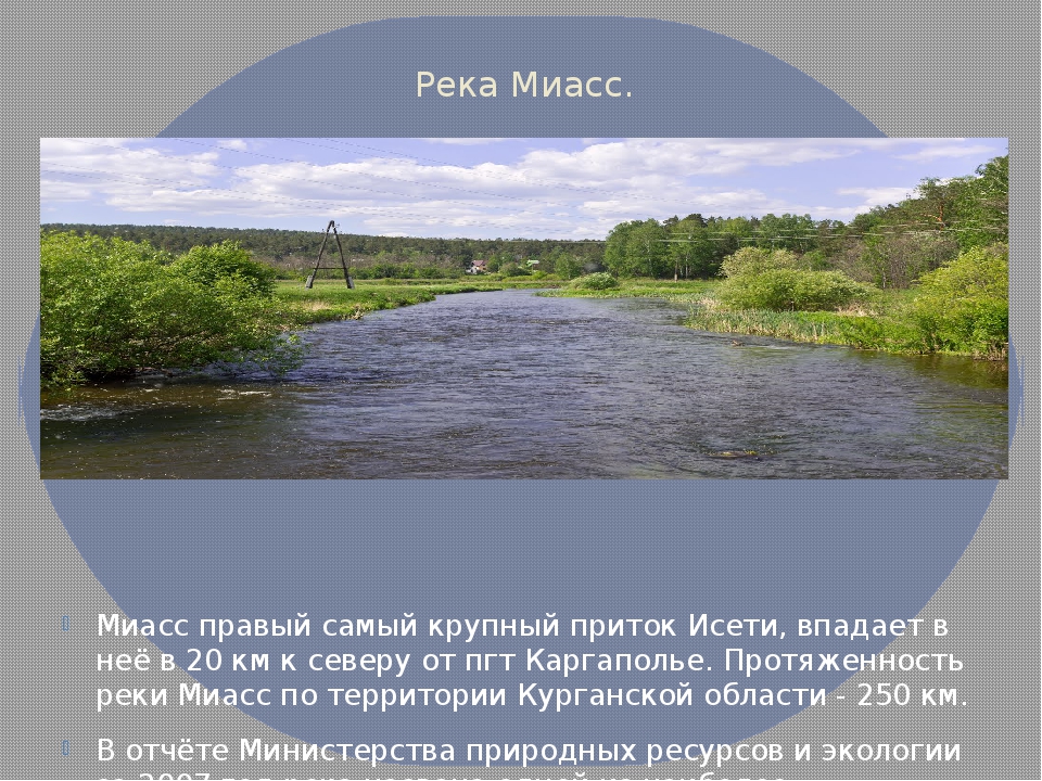 Проект река миасс