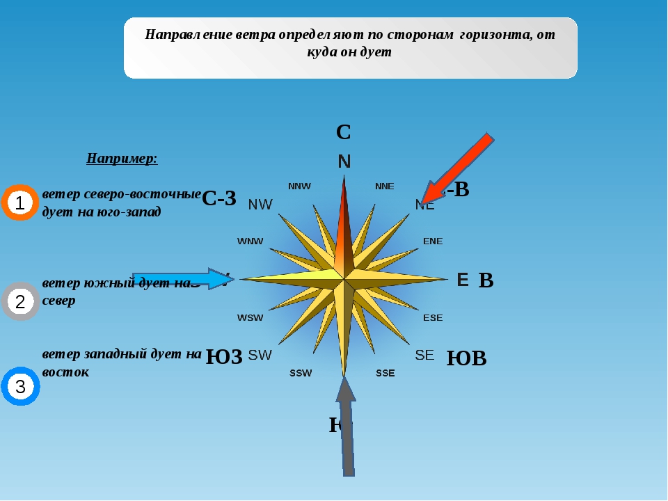 Определи какими цифрами на рисунке показаны следующие ветры северный восточный
