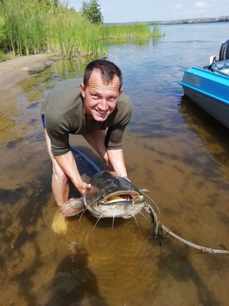 Сом на водохранилище. Рыбалка на сома. Сом рыбалка.