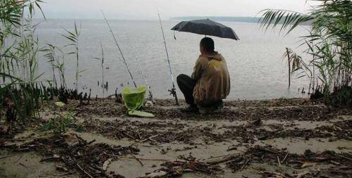 Выбор места рыбалки в дождливую погоду