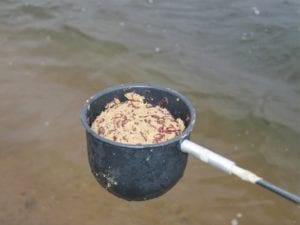 Прикормка в штекерной рыбалке
