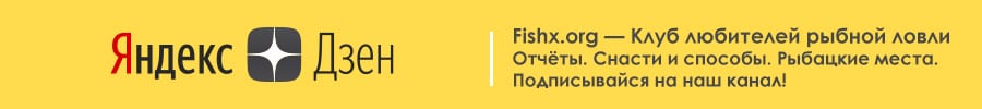 Fishx.org в Яндекс Дзен