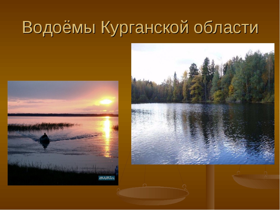 Естественные водоемы екатеринбурга список. Водоёмы Курганской области. Водные ресурсы Курганской области. Реки и озера Курганской области. Водоемы Курганской области презентация.