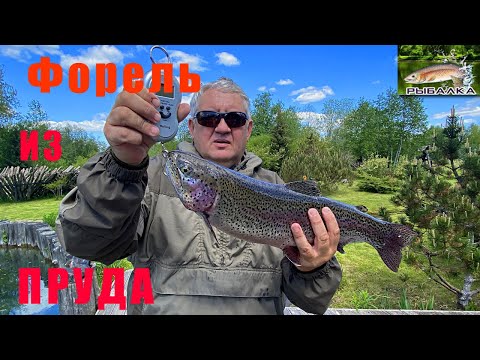 Рыбалка в Коваши Платник - секреты удачного лова