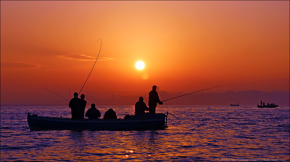 Ловим рыбу в крыму. Рыболовство в море. Рыбак на берегу моря. Рыболовы в море. Лодка для рыбалки.