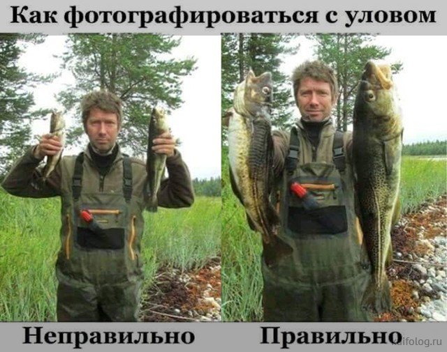Приколы про рыбалку и рыбу (50 фото)