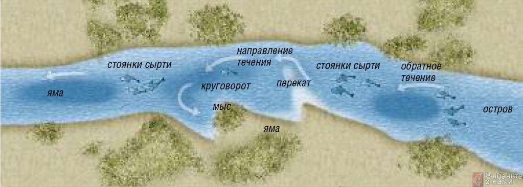 Как определить течение реки по берегам