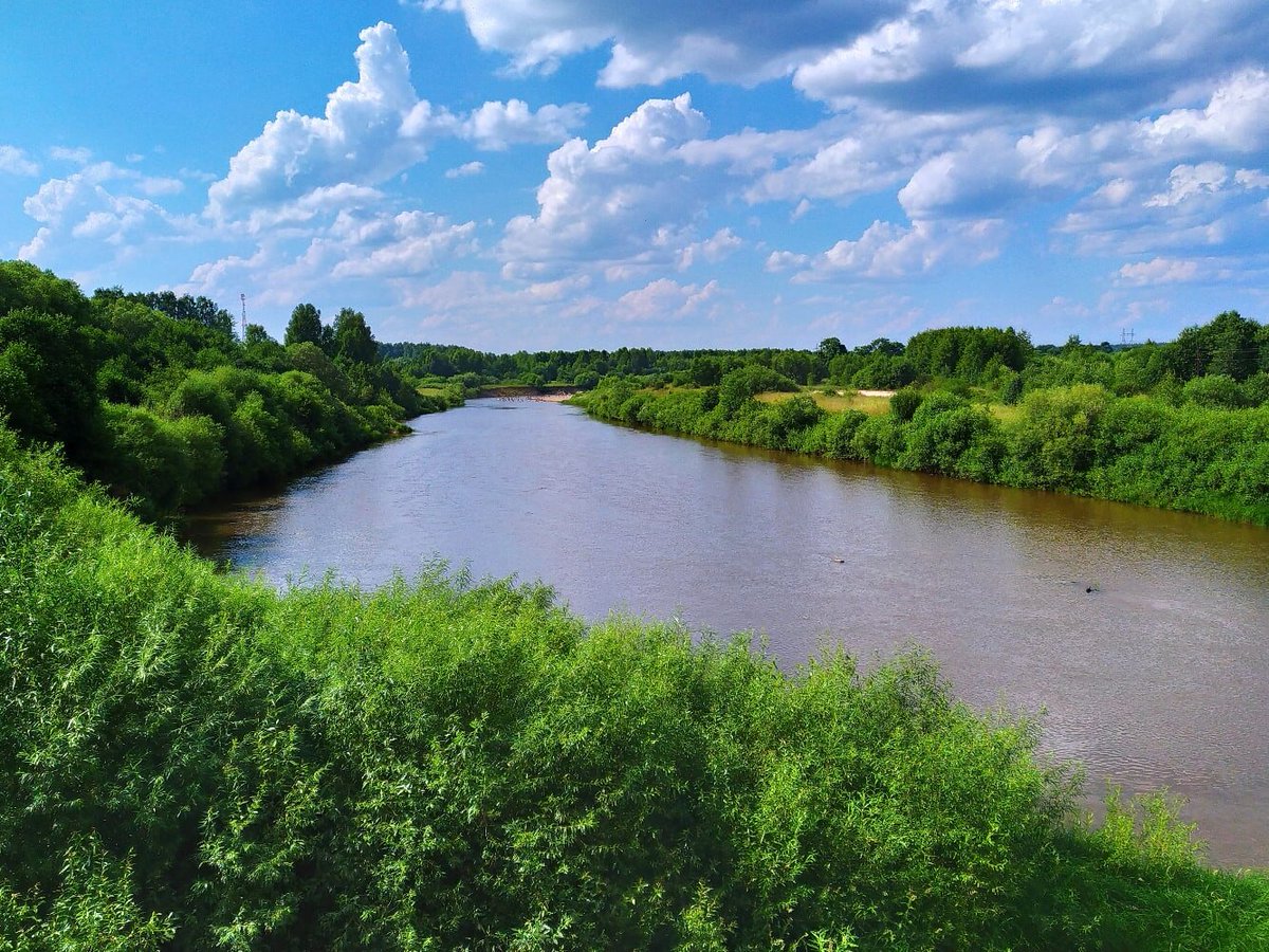 Равнинные реки Костромской области