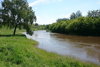 Река Крынка фото