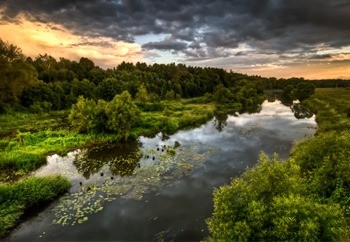 Река Лопасня фото