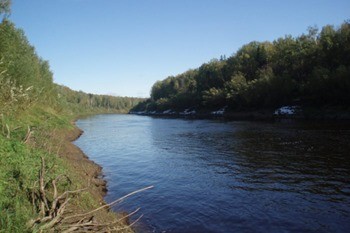 Река Межница фото