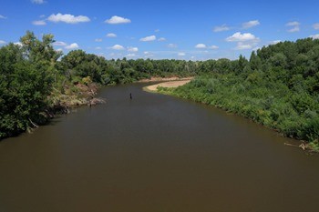 Река Салмыш фото