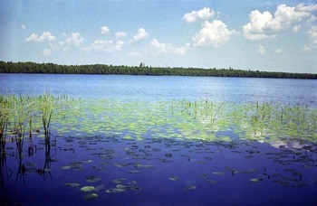 Марийские (Тавские) Озера