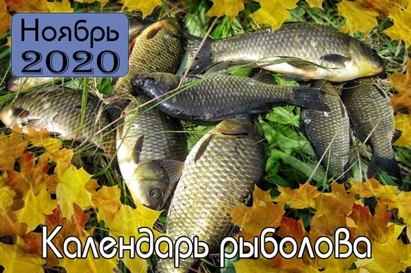 НОЯБРЬ Календарь рыболова