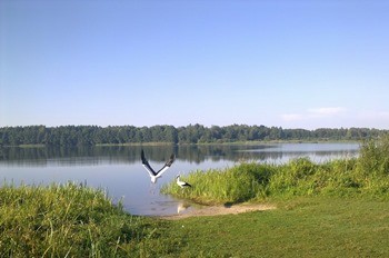 Озеро Заломенье фото
