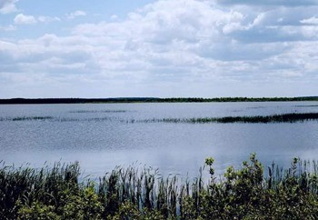 Озеро Кожановское фото