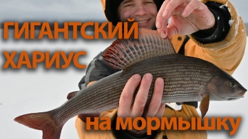 Зимняя рыбалка в Карелии на Пяозере. Часть 1. Хариус.