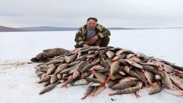 ЭТИ ОКУНЯ ЛОМАЮТ КРЮЧКИ рыбалка в бурятии зимой