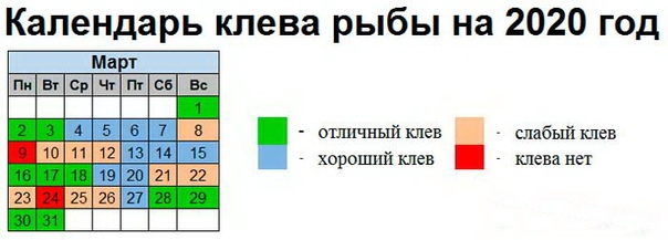 Календарь клева кировская