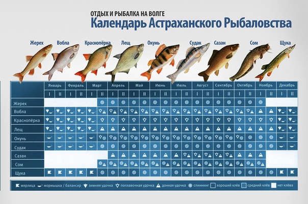 Клев рыбы оренбургской области