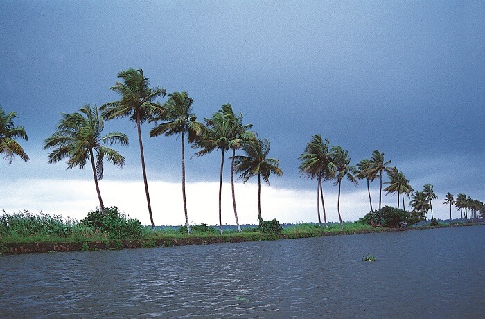 The pristine beauty of Kumarakom Backwaters has proven to be therapeutic to many