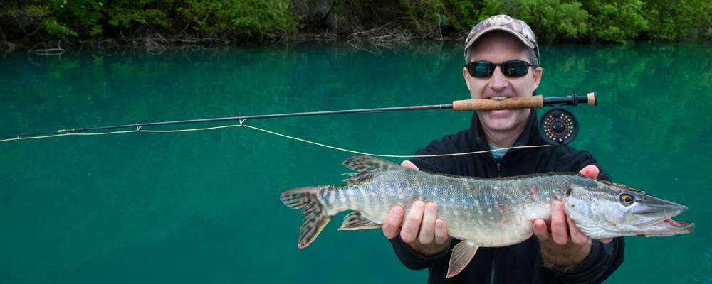 Pike on a fly Switzerland