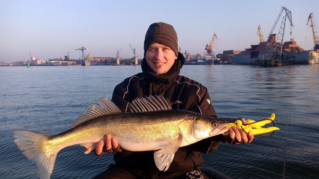 Самая большая рыба в калининградской области. Рыбалка Балтийское море Калининград. Рыболовля в Калининграде. Куршский залив рыбалка. Рыба Балтики Калининград.