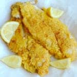 Southern Fried Catfish Square Recipe Preview Image