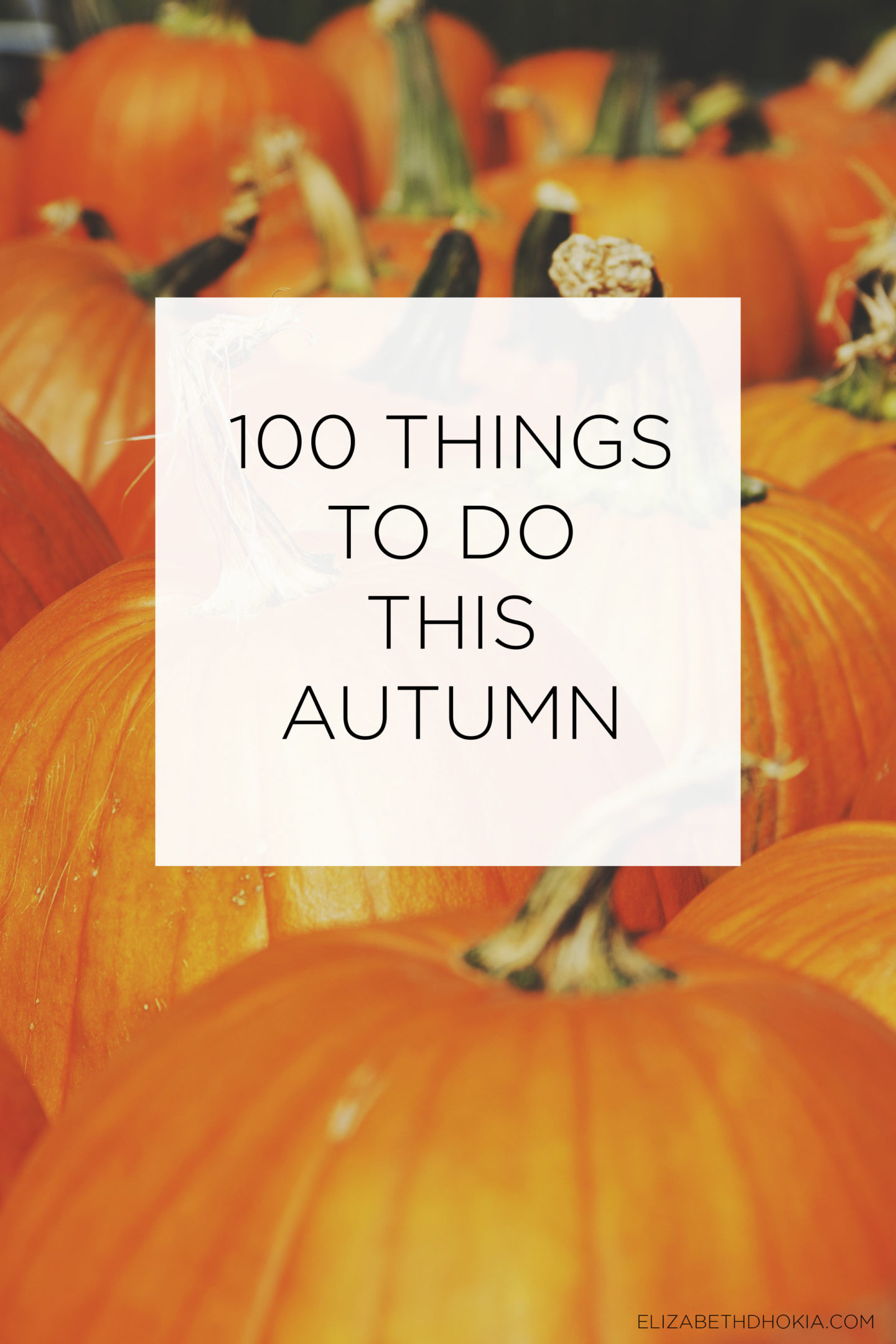 Rows of pumpkins and a caption saying 100 Things To Do This Autumn