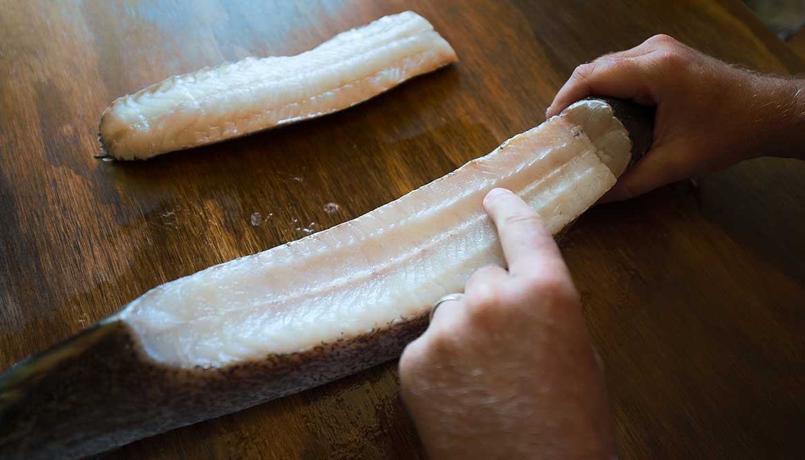 pike-ready-for-filleting-lg