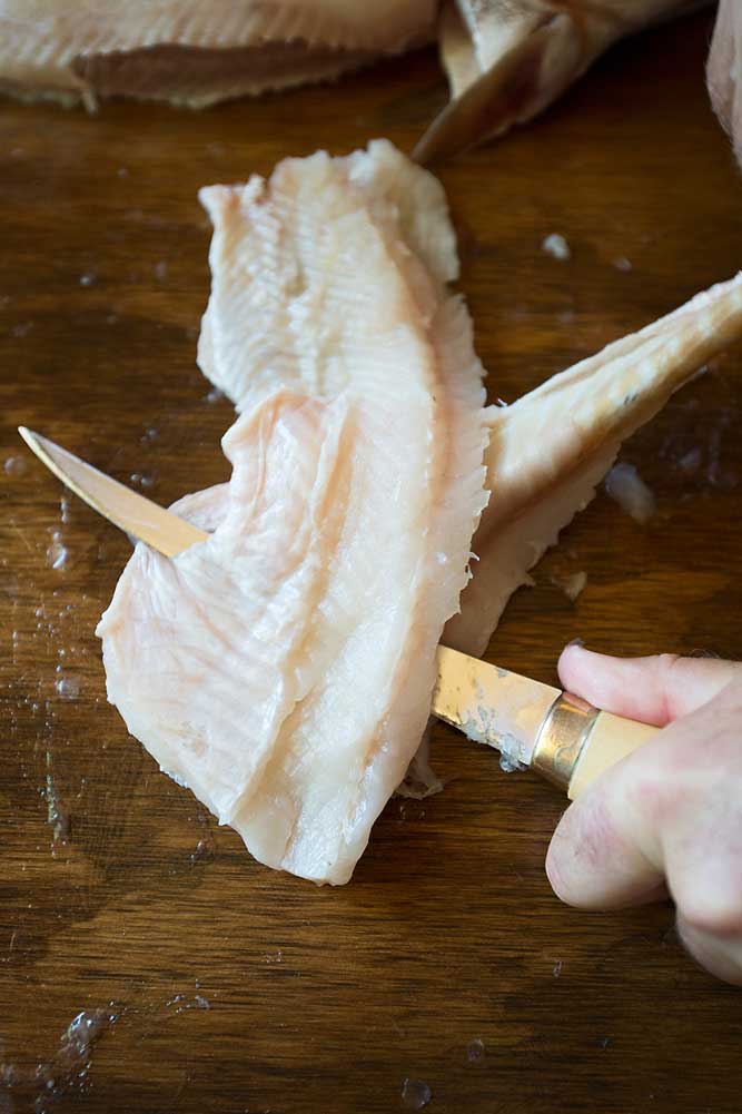 pike-ready-for-filleting-lg