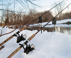 The rods are set on bite alarms and rod holders in a bank of snow along the Blackstone River. Heavy duty freshwater tackle like 7-foot rods, bait-feeder reels and 12-pound-test line work well for wintertime carp fishing.