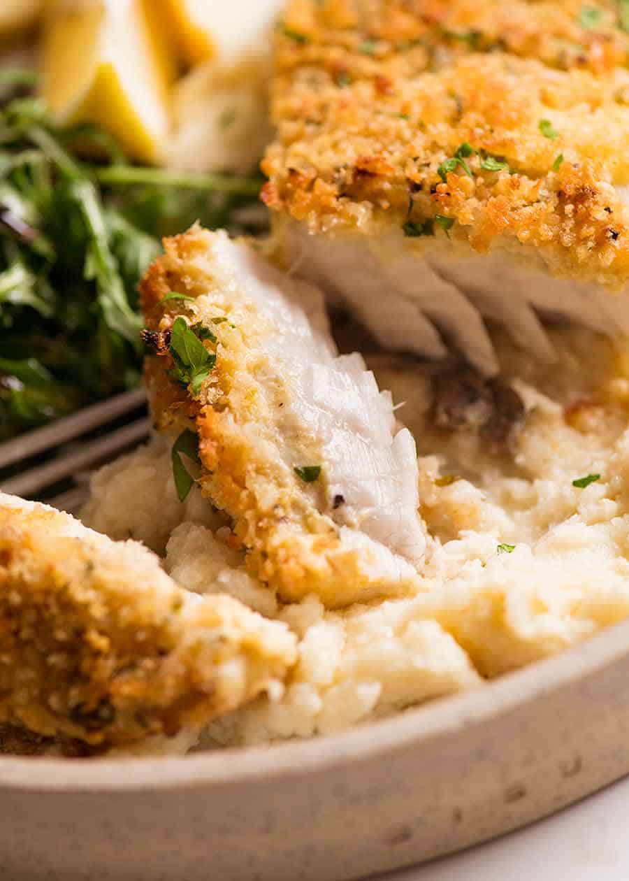 Close up of fork showing juicy inside of Baked Fish with Parmesan Crumb