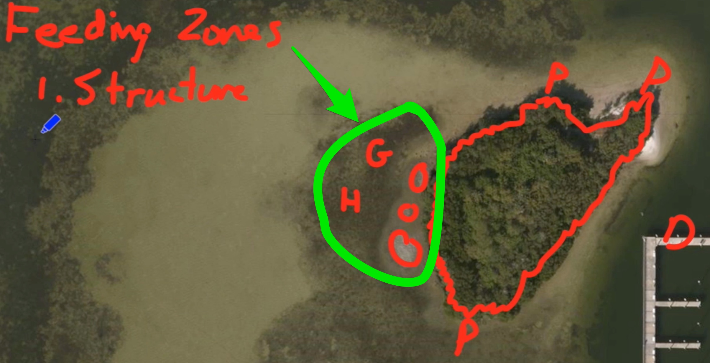 feeding zones on flats