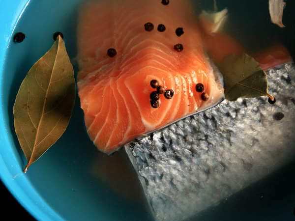 Salmon Fillets Brining With Peppercorns, Garlic and Bay Leaves, For Cold Smoked Salmon Recipe